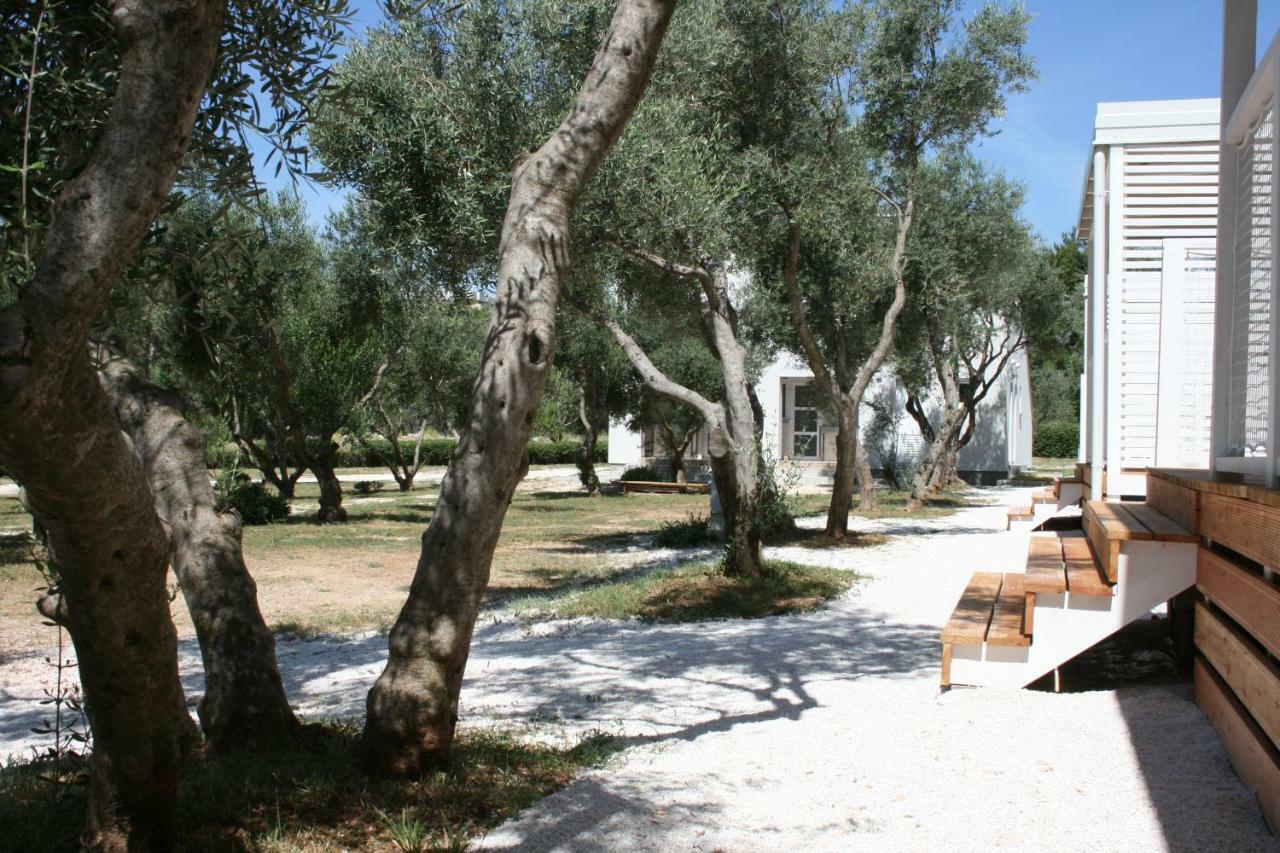 Mobile Homes Katinka, Starigrad Paklenica, Croatia ภายนอก รูปภาพ